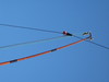 IA5/IK2QIN Image